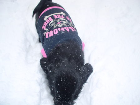 Naynay playing in the snow.