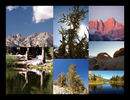Eastern Sierra collage