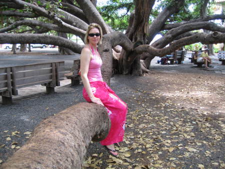 The Banyan Tree, Lahaina, Maui Aug 06