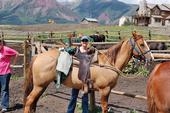 Horseback in Colorado