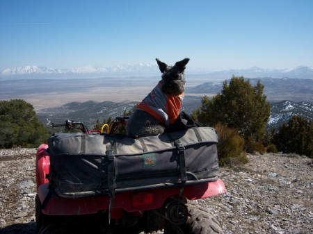 Maggie Mae 4 wheeling