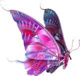 I love butterflies...