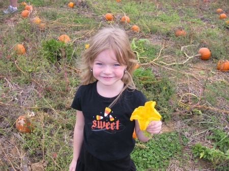 Pumpkin Patch Girl