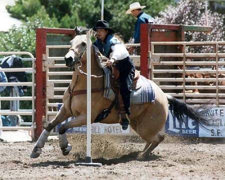 Pole Bending at the Cow Palace