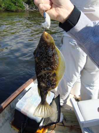 Steve Mahle's album, Fishing with my daughters, Marina and Eleanore