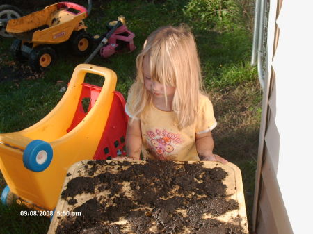 mud cookies