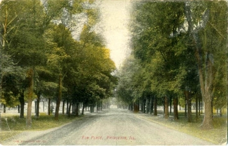 Elm Place Princeton(old)