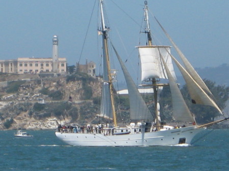 SF Sail Boat Fest.