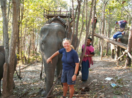 Elephant treking in Northern Thailand