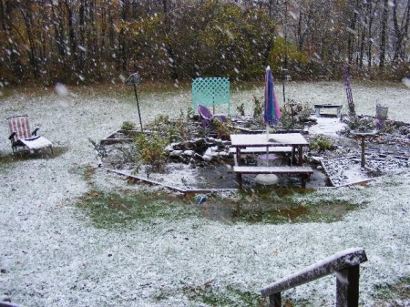 Oct. 28, 2008 Snow falls on my garden