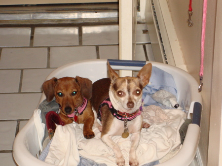 Helping Mommy do Laundry