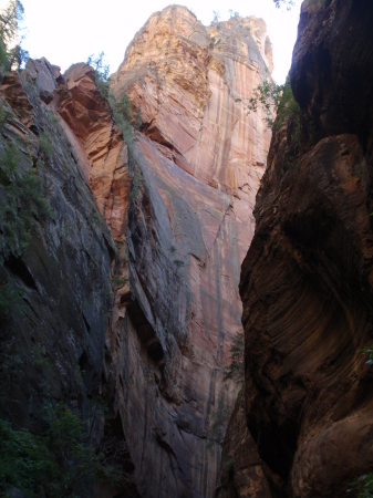 Beautiful view iat Zion Canyon Templeof Sinawa