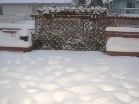 Snowstorm 2008