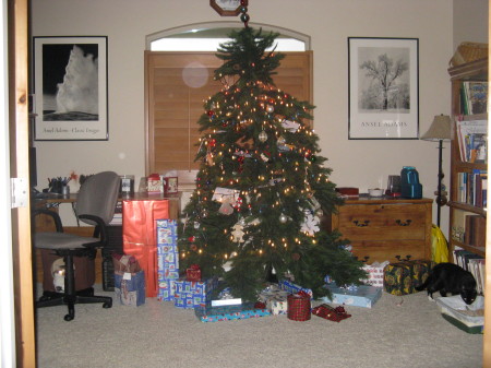 christmas 2008 012
