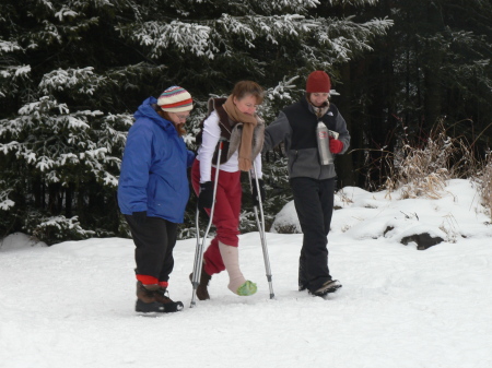 dog sledding accident