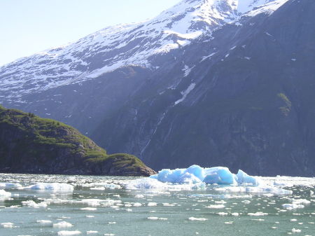 Alaska ice floes