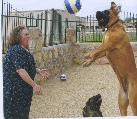 Mid-Sept. '08, Hannah jumping for ball