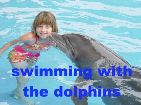 swimmingwith dolphins2