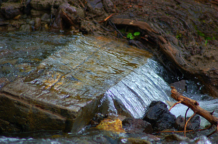 Carbon Creek by Jodene Black