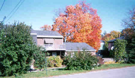 Maine House from the front