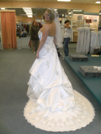 nichole's wedding dress 095