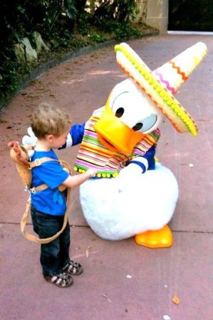 My grandson meets Donald Duck at Epcot!