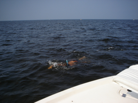 scalloping in the gulf