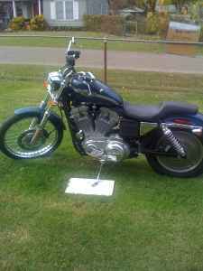 2003 Sportster 883 Anniversary Edition