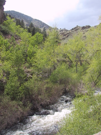 Evergreen Colorado