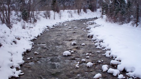 crystle river