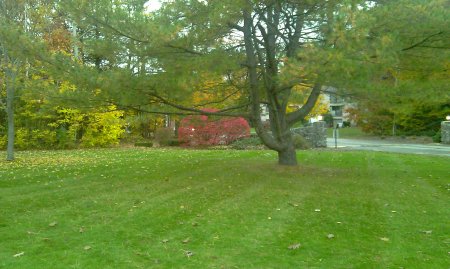 Front yard in autumn