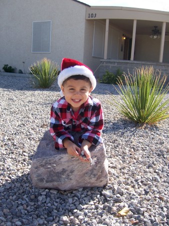 Christmas in the desert - 2008