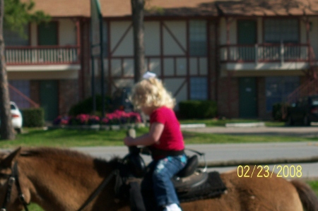 Bailey 2-23-08 horse rider