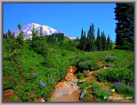 Frank Jackson's album, Mt. Rainier