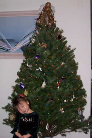 Bethann in front of our 08 Christmas tree