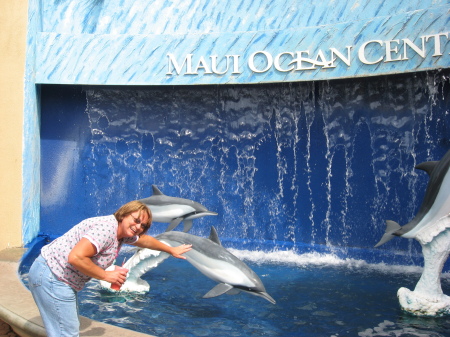 Petting a dolphin!