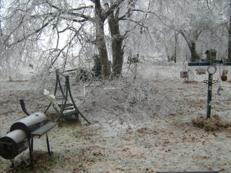 ICE STORM OF 2009