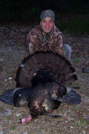 The big gobbler