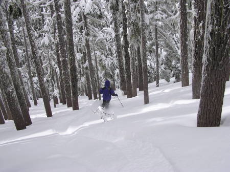 Willamette Pass Powder Skiing 3/8/09