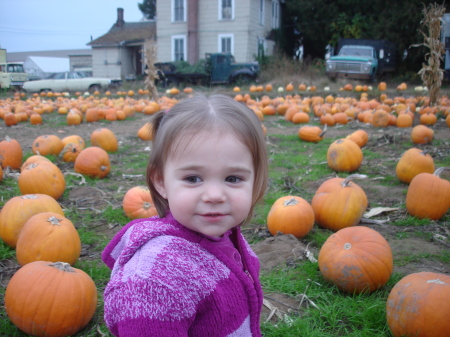 pumpkin patch