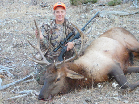 My first bull elk