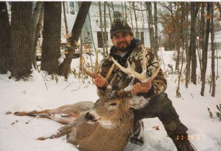 Minnesota deer