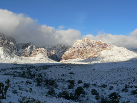 red rock canyon dec 08 002