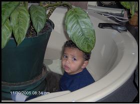 My great grandson Tre hiding from his Memaw