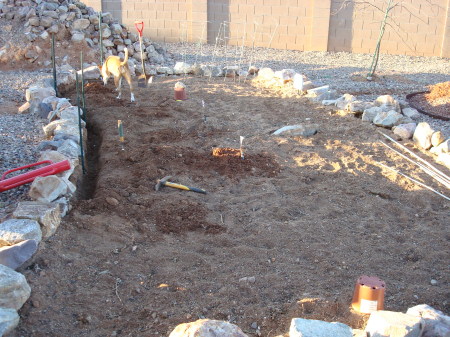 Installing fence in the garden