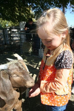 Rachel feeding goats - October festivities