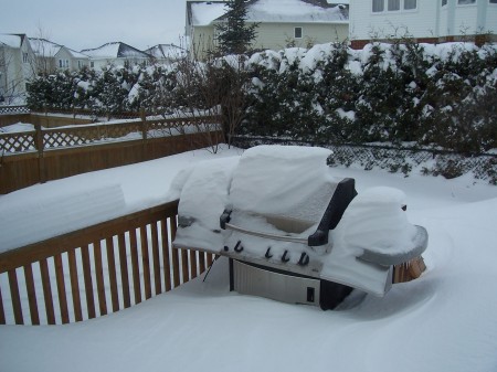 March 2008 snow storm in Ottawa