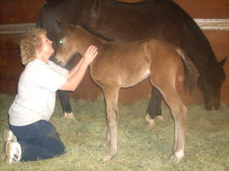 NEW BABY FILLY