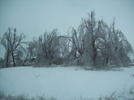 Ice Storm