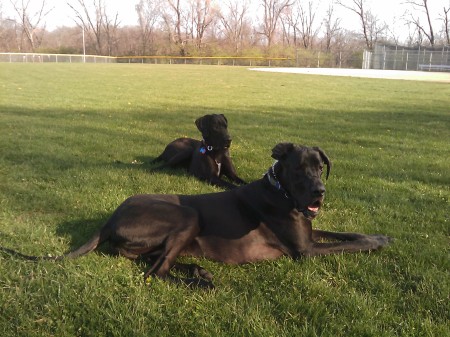 At the ballpark